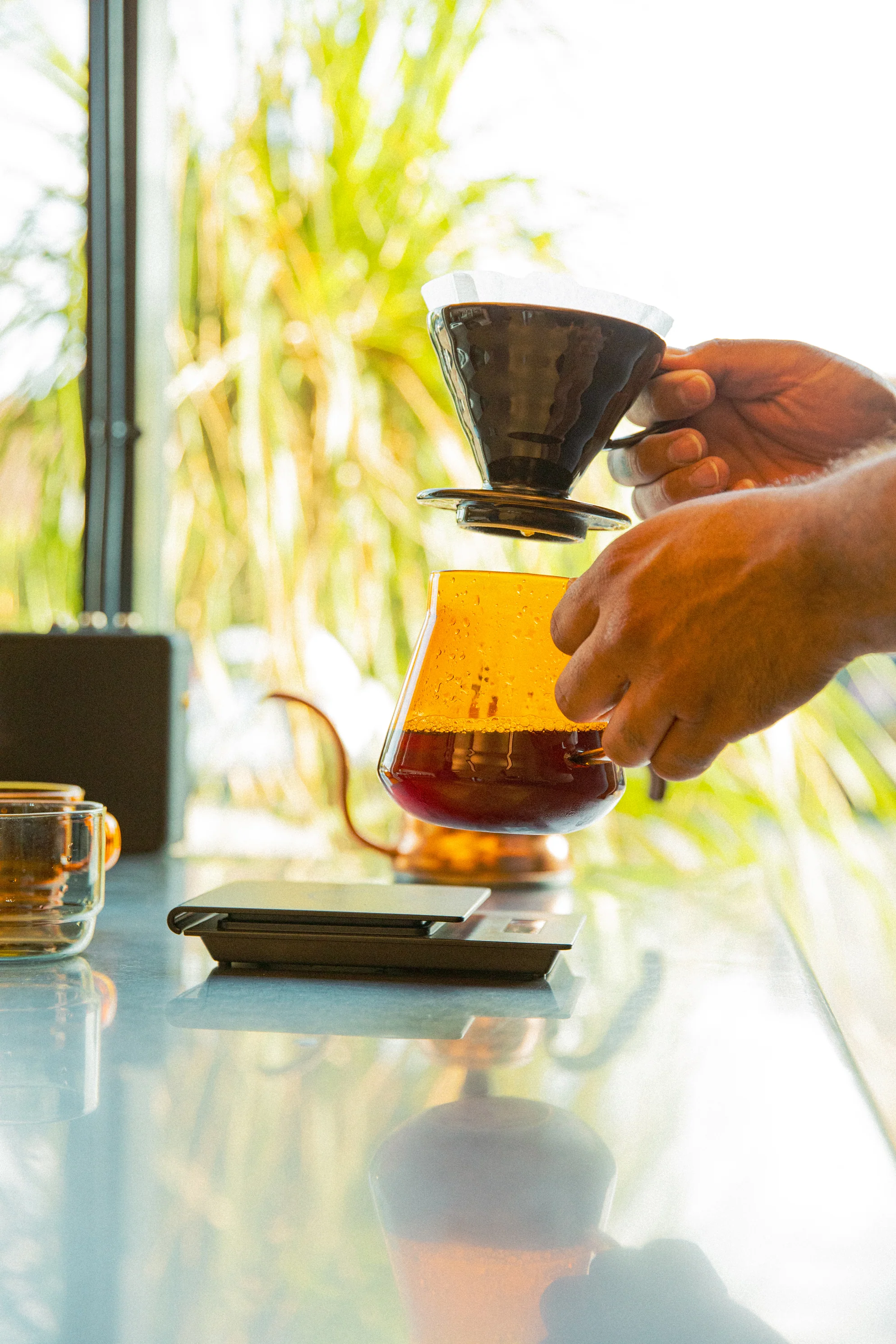 Glass Coffee and Tea Server - Image 4