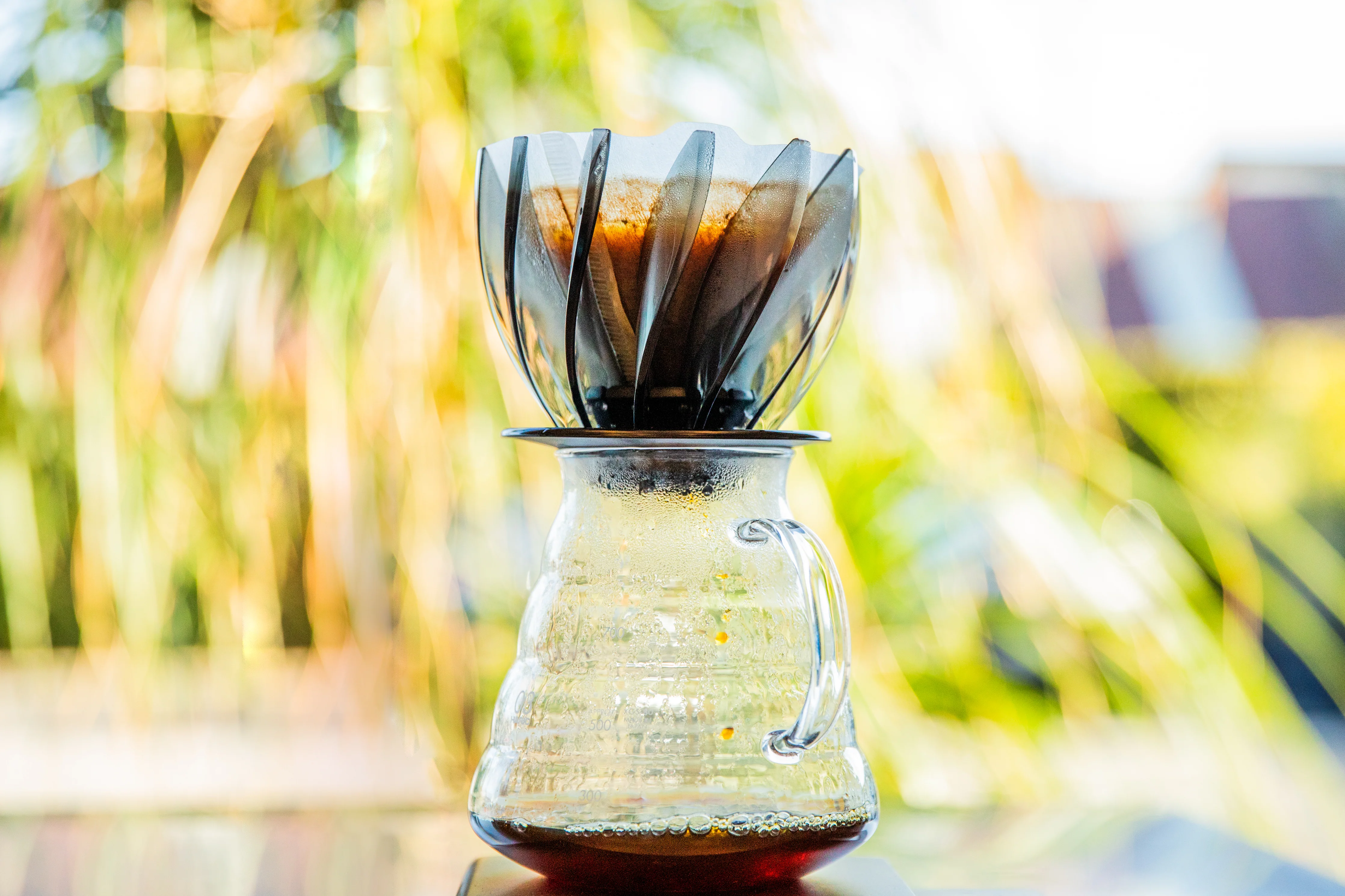 V60 SUIREN Coffee Dripper - Image 9